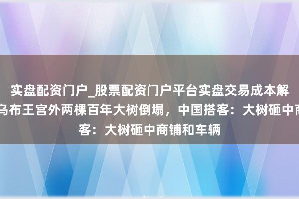 实盘配资门户_股票配资门户平台实盘交易成本解析 巴厘岛乌布王宫外两棵百年大树倒塌，中国搭客：大树砸中商铺和车辆